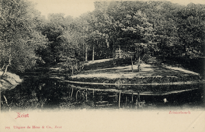 16292 Gezicht op de grote vijver met omringende naaldbomen in het Zeister Bosch te Zeist.